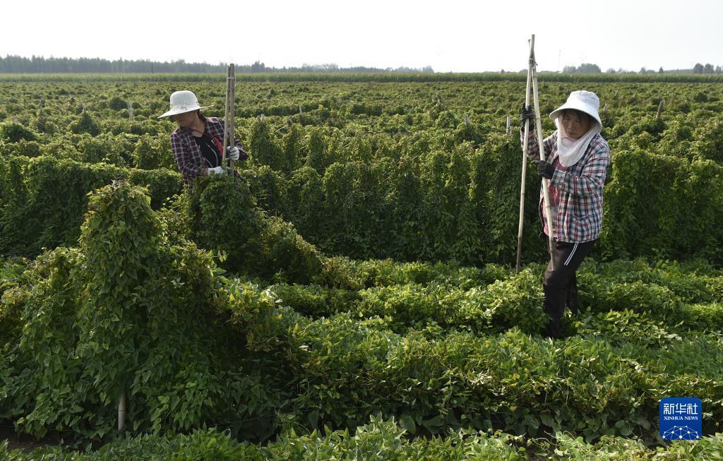 宝马娱乐2011